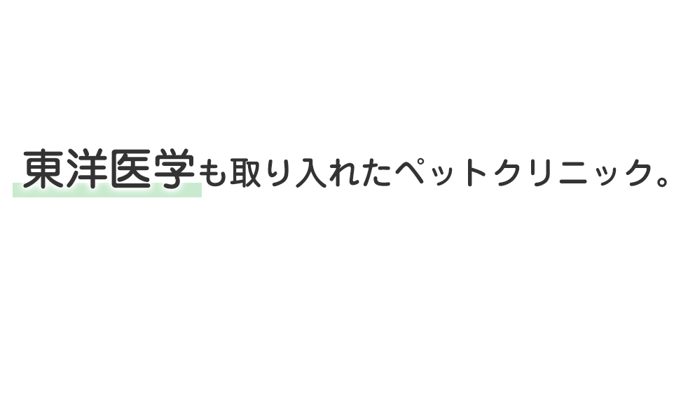 東洋医学も取り入れたペットクリニック。